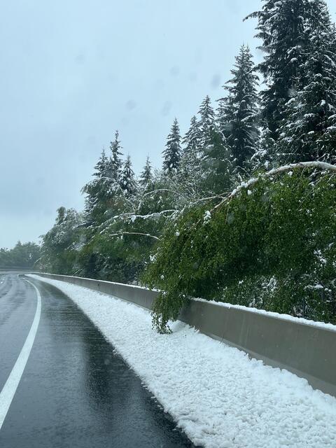 Vorsicht Autofahrer, das Tempo sollte den Temperaturen angepasst werden. | Foto: Asfinag