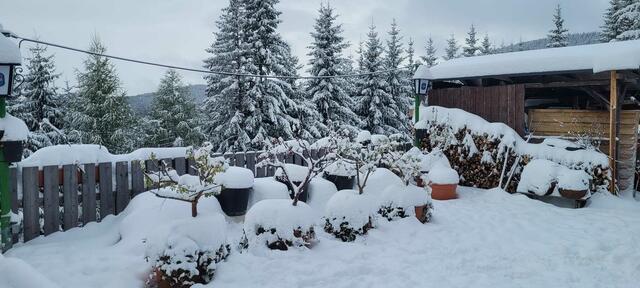 So sah es am Mittwoch beim Sattelhaus auf der Terenbachalm aus. | Foto: Martha Reischl