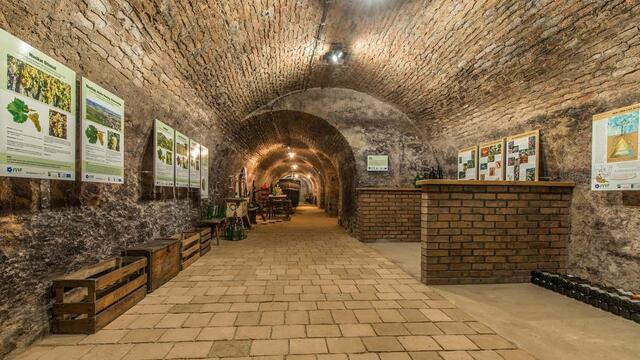 Weinbaumuseum Furth | Foto: Archiv FVVF