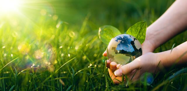 Die Umweltberatungsstelle OekoBusiness Wien hilft Wiener Betrieben, maßgeschneiderte Konzepte im Bereich Klimaschutz, Kreislaufwirtschaft und Nachhaltigkeit umzusetzen. (Symbolbild) | Foto: Symbolfoto AdobeStock/Miha Creative