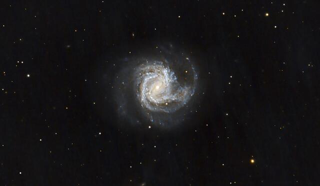 Die Spiralgalaxie Messier 61 im Sternbild Jungfrau | Foto: Günter Kleinschuster