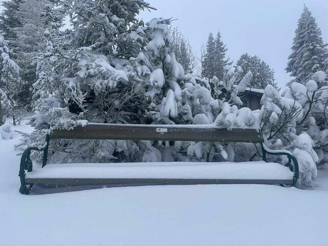 So sah es am Gaberl aus mit 40 Zentimetern Neuschnee. | Foto: Thomas Gauss