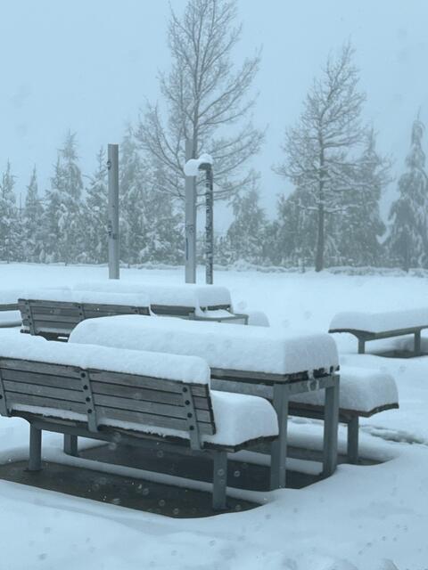 So sehen derzeit noch die Parkplätze auf der A2 aus, alles ist voller Schnee. | Foto: Asfinag