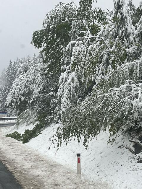 35 Zentimeter Neuschnee fielen in den letzten 24 Stunden im Packabschnitt. | Foto: Asfinag