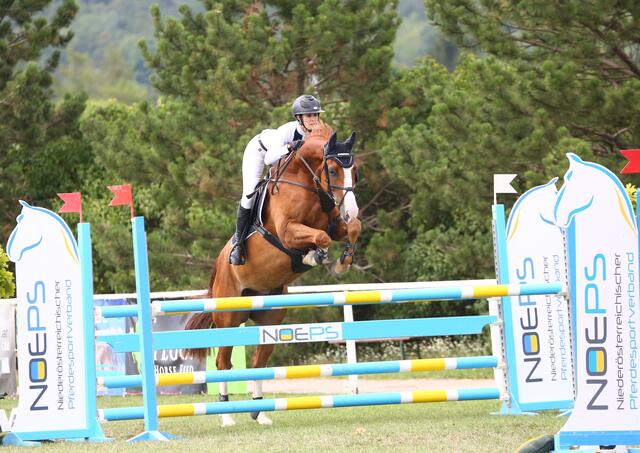 Die Equiva Trophy findet seit vielen Jahren in Bad Fischau statt. | Foto: Eszter Nemeth