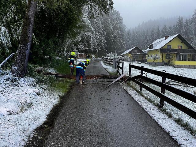 25 Feuerwehreinsätze - hier die FF Krems - waren nötig, um Straßen und Wege freizuschneiden. | Foto: FF Krems