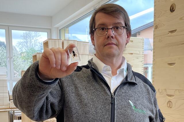 Experten haben sich bereits letztes Jahr auf das Eintreffen der asiatischen Hornisse vorbereitet und Informationen an Imker, Land- und Forstwirte, Feuerwehren sowie Gemeinden weitergegeben. Im Bild: Geschäftsführer Thomas Renner (Salzburger Landesverband für Imkerei und Bienenzucht) | Foto: Land Salzburg/Martin Wautischer