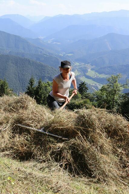 Ziel des Vereins Bergwiesn aus Molln ist es, auf ehemaligen Mähwiesen in steilem, abgelegenem Gelände wieder Landwirtschaft zu betreiben.  | Foto: ÖAV/Verein Bergwiesn