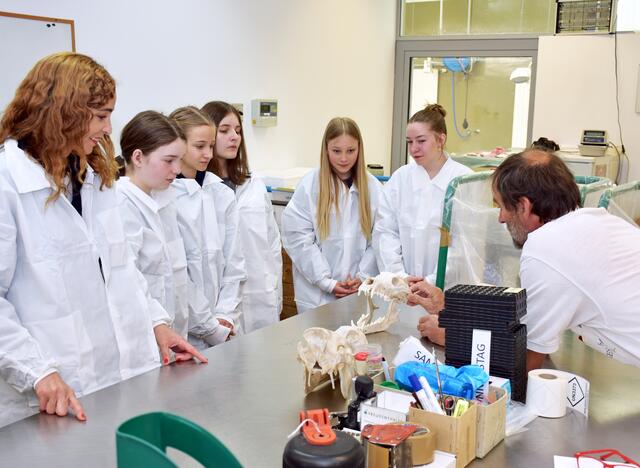 Interessierte Schülerinnen und LRin Eva Pawlata besuchen im Rahmen des Girls` Day die AGES (Österreichische Agentur für Gesundheit und Ernährungssicherheit). | Foto: © Land Tirol/Neuner