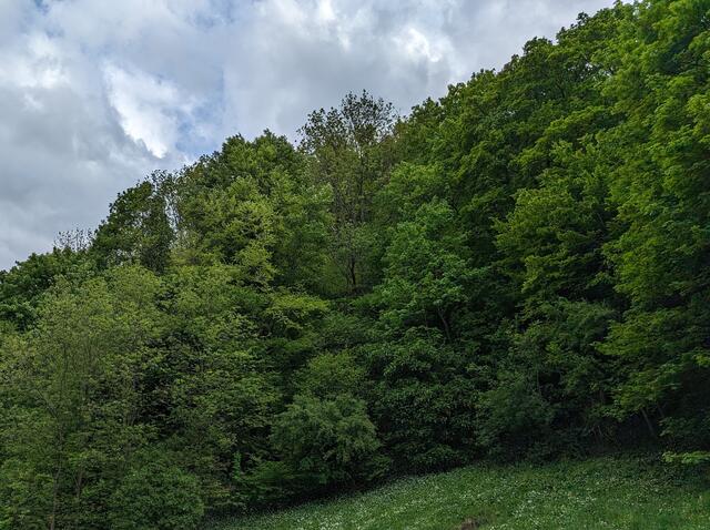 Dies soll der künftige "Deponiestandort" werden. | Foto: Edtmayer