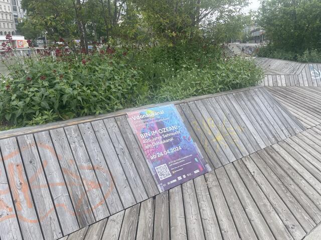 Das Event am 24. April gab den Startschuss für die "Vdonaukanal" App. Die App ist seither überall erhältlich, wo es Apps gibt.   | Foto: Teischl/RMW