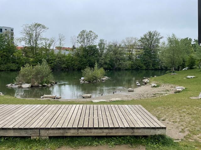 Im momentanen Zustand ist die Bucht den Enten als Badeplatz vorbehalten.  | Foto: MeinBezirk