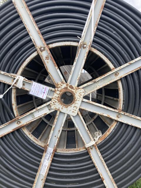 Foto: Wiener Netze/Tucherl