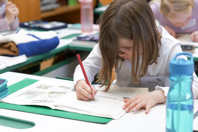 Auch Hanna hatte Spaß am Arbeiten mit MeinSchulBezirk. | Foto: Maximilian Spitzauer/RMW