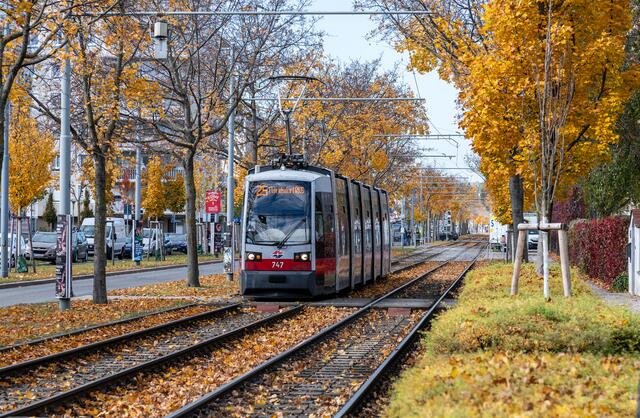 Die Linie 25, die Floridsdorf mit Aspern verbindet, ist am Freitagvormittag nur stark eingeschränkt unterwegs – ab Josef-Baumann-Gasse ist Schluss. (Archiv) | Foto: Manfred Helmer