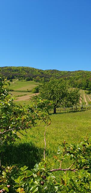 Herrliche Landschaft | Foto: Philipp Steinriegler