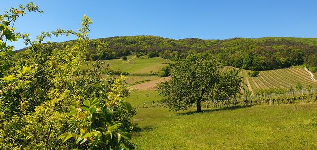 Einfach traumhaft | Foto: Philipp Steinriegler