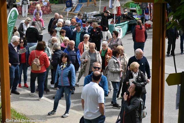 Foto: Gerald Dreisiebner