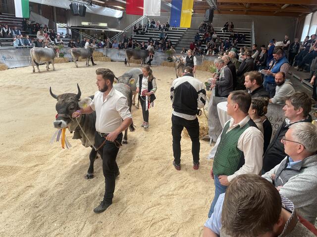 Zahlreiche Tiere wurden prämiert und von eine strengen Jury bewertet.