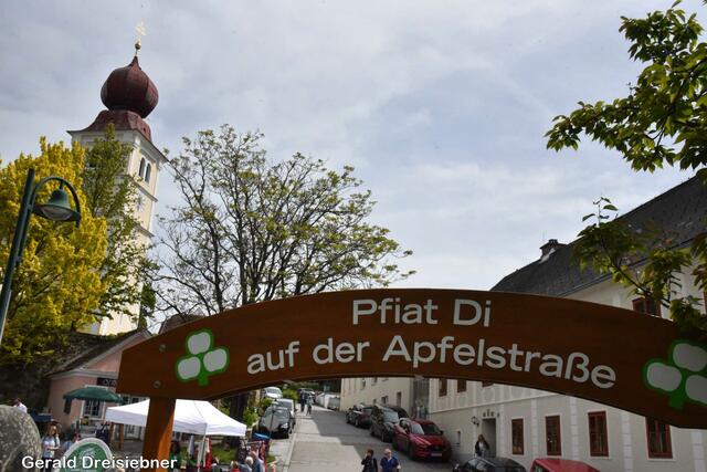 Foto: Gerald Dreisiebner