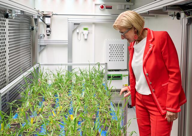Die neuen Klimakammern am AIT bieten die Möglichkeit, unterschiedlichste Umweltbedingungen präzise zu simulieren. | Foto: NLK Pfeiffer