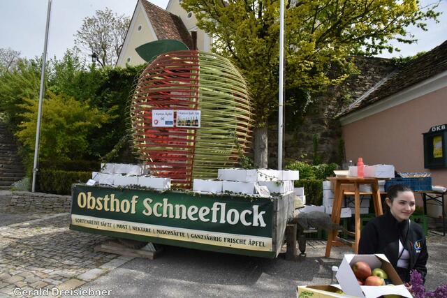 Foto: Gerald Dreisiebner