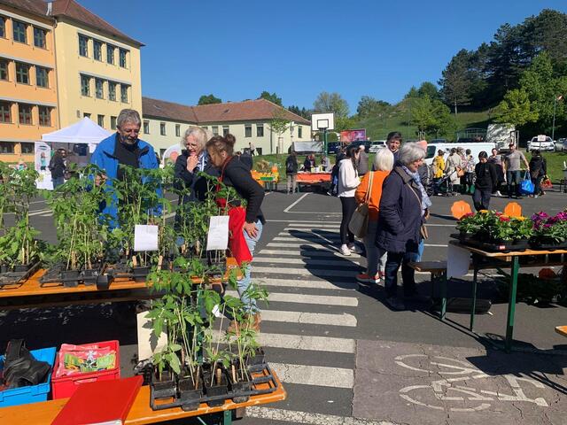 Foto: Bürgerinitiative Lebenswertes Mattersburg