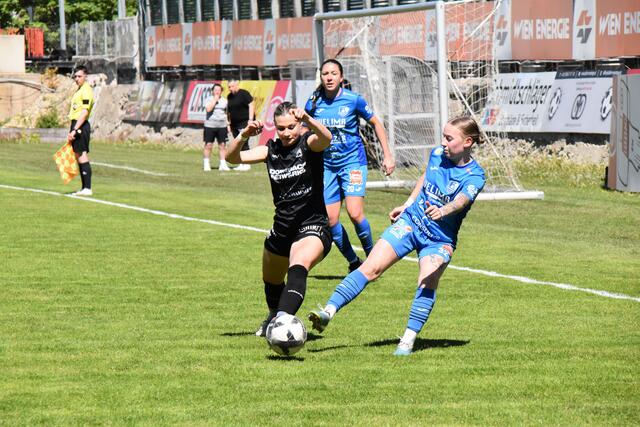 Foto: Michael Strini