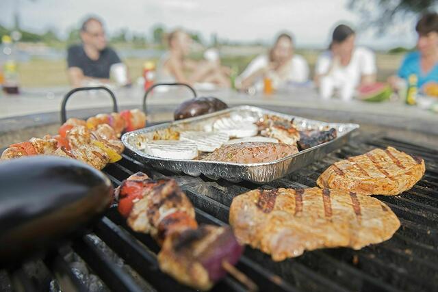Während bei den Grillzonen die Nutzung gratis und ohne Voranmeldung möglich ist (eigener Griller muss mitgenommen werden), kostet die Reservierung für die 15 Grillplätze auf der Donauinsel zehn Euro.  | Foto: Wiener Wildnis