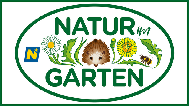 Foto: Natur im Garten