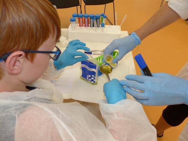 Ein Tag im Labor am Forschungsinstitut für Limnologie in Mondsee. | Foto: Sabine Wanzenböck