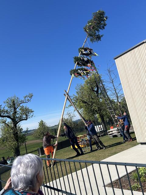 Vergangene Woche wurde der Maibaum im Kindergarten Arnreit aufgestellt. | Foto: privat