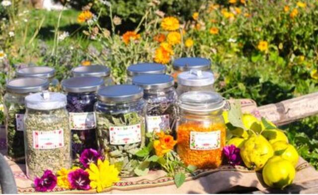 Der Frühlingsmarkt in Unterlaa kann sich sehen lassen. | Foto: Kubicek