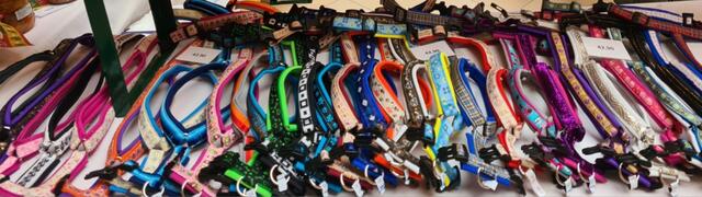 Auch für den Vierbeiner gibt es Modisches | Foto: Kubicek