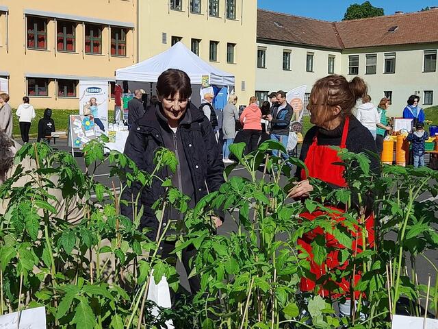Foto: Bürgerinitiative Lebenswertes Mattersburg