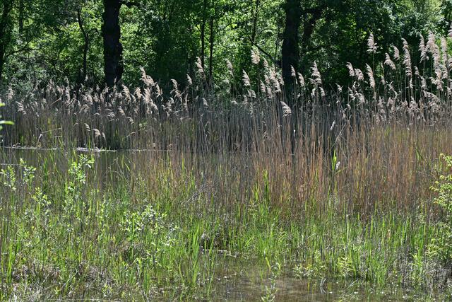 Die Panozzalacke erreicht