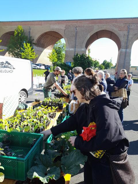 Foto: Bürgerinitiative Lebenswertes Mattersburg