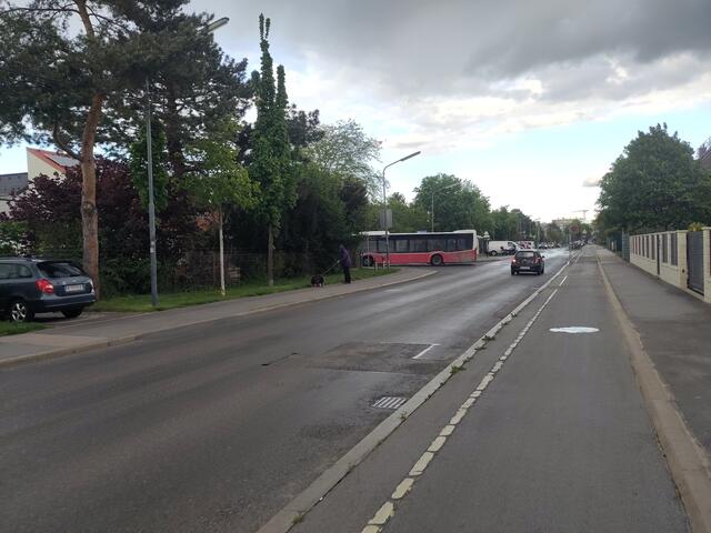 Bisher gibt es auf der Strecke nur in Richtung Seestadt einen Ein-Richtungs-Radweg. | Foto: Michael Marbacher