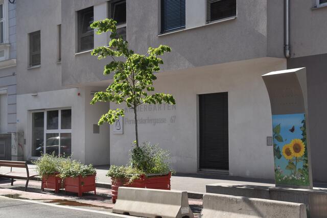 Wo jetzt noch die Pflanzen in Körben stehen, werden sie bei der Ausgestaltung in den Boden gepflanzt. | Foto: Pufler