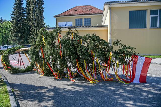 Foto: Gerhard Pulsinger