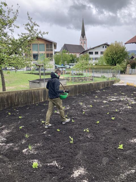 Zwischen dem Kindergarten und dem Gemeindeamt entsteht in Niederndorf die erste Naturblumenwiese.  | Foto: Johanna Weber