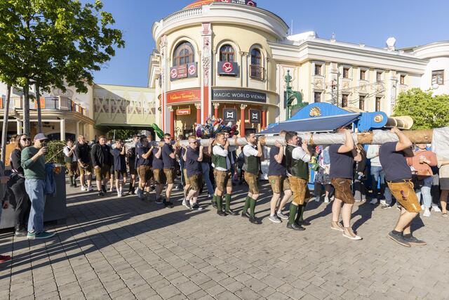 Im Wurstelprater hat der Maibaum sein (vorübergehendes) Zuhause gefunden. | Foto: Bubu Dujmic