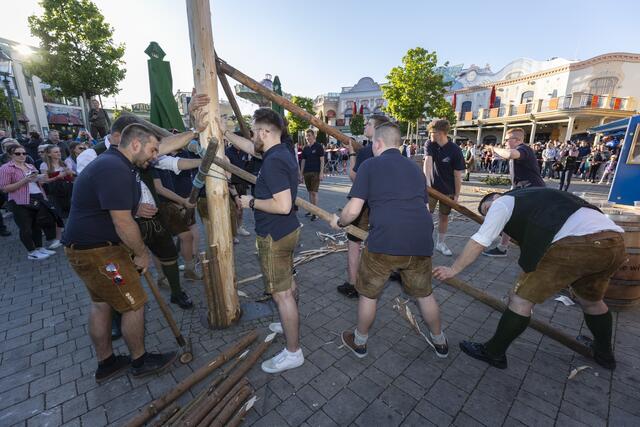 In Teamarbeit wurde der Maibaum im Wurstelprater pünktlich zum 1. Mai aufgestellt.  | Foto: Bubu Dujmic