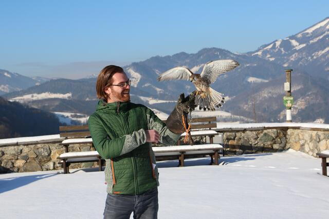 Die Falknerei wird an vielen Standorten der Steiermark noch gelebtt. | Foto: Trois-Fotografie
