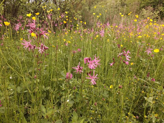 Foto: Franziska Denner