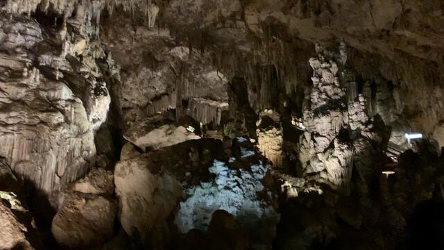 Foto: Angelina Kaiser