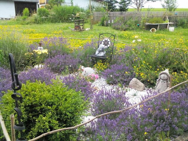 Foto: Herbert Pointner