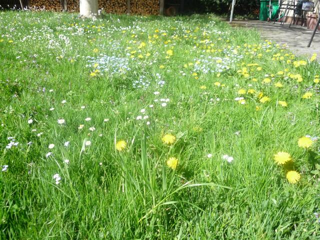 Foto: Herbert Pointner