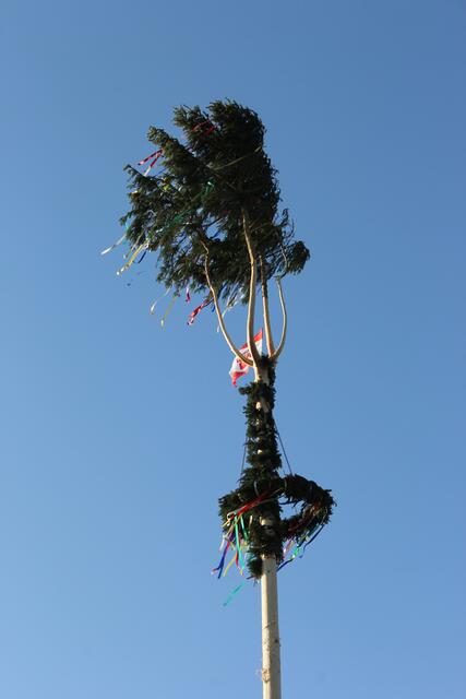 Ein vierwipfeliger Maibaum ist wirklich selten. | Foto: Walter Kellner