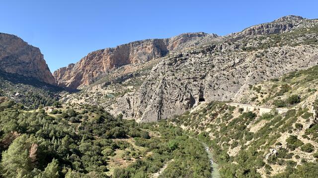 Foto: Angelina Kaiser